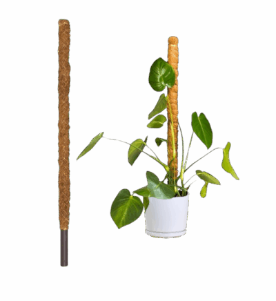 Climbing Pole - Coconut Fibre